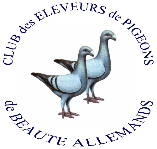 Le Pigeon de beauté Allemand en journée technique