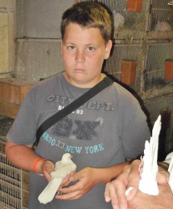 La Tourterelle rieuse en séminaire.