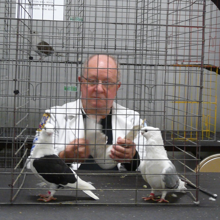 Mon voyage au Canada et aux U.S.A.