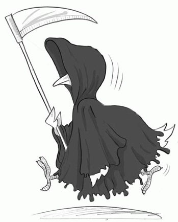 L&rsquo;exposition de Chambéry interdite par les autorités sanitaires