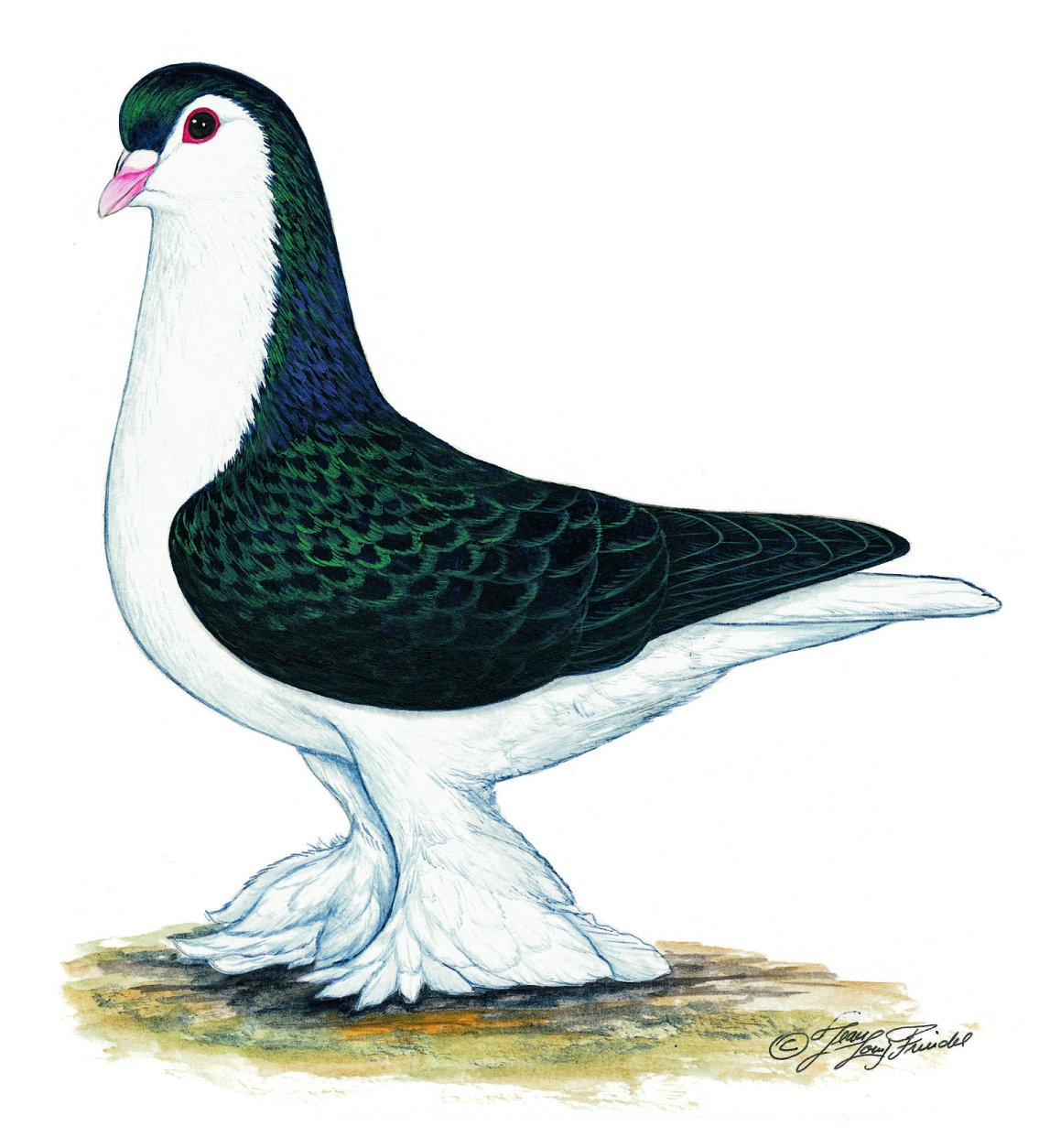 Le championnat de France 2015 du Lahore à METZ