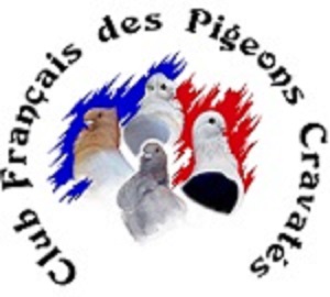 Saison 2018 du Club Français des pigeons Cravatés