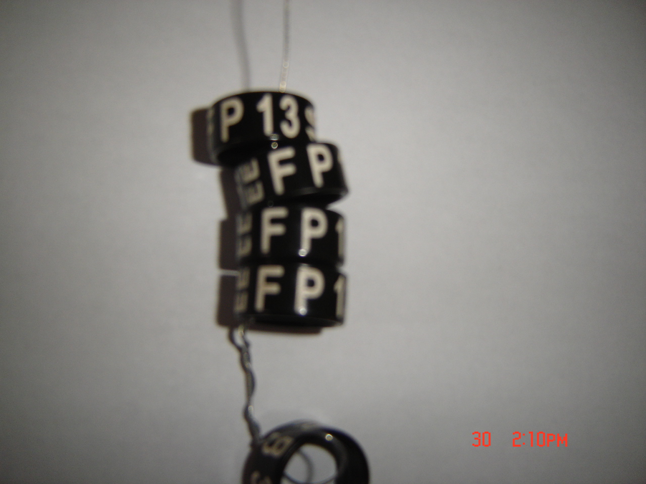 Pourquoi une lettre « P » sur les bagues pigeons ?