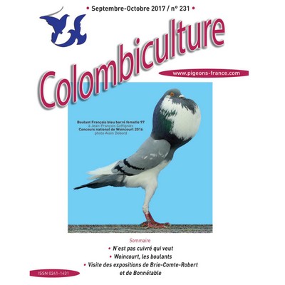 Colombiculture 231 arrive.