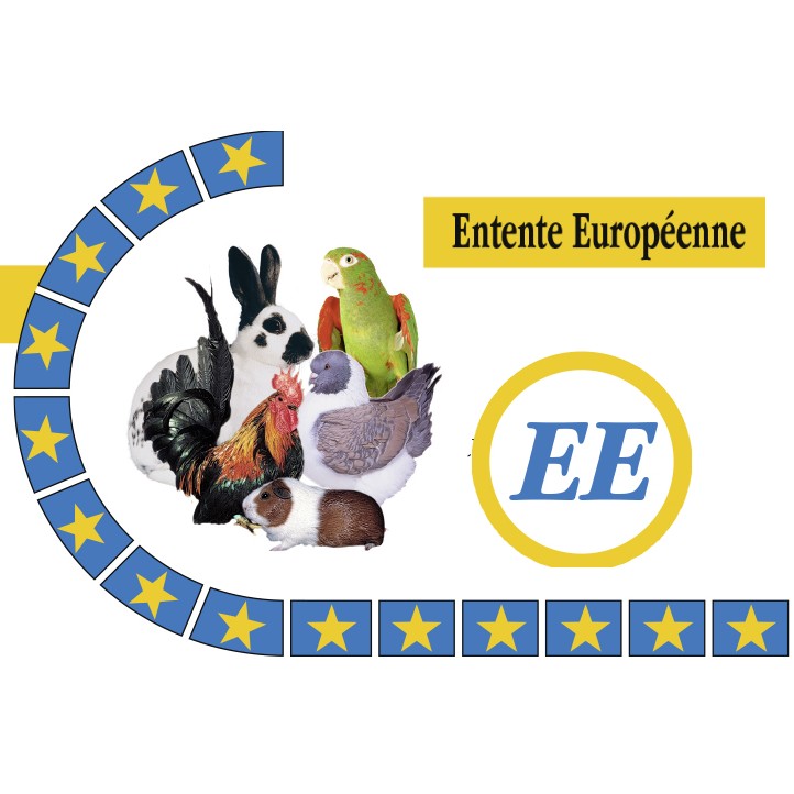 Journées internationales 2019 de formation des juges pigeons