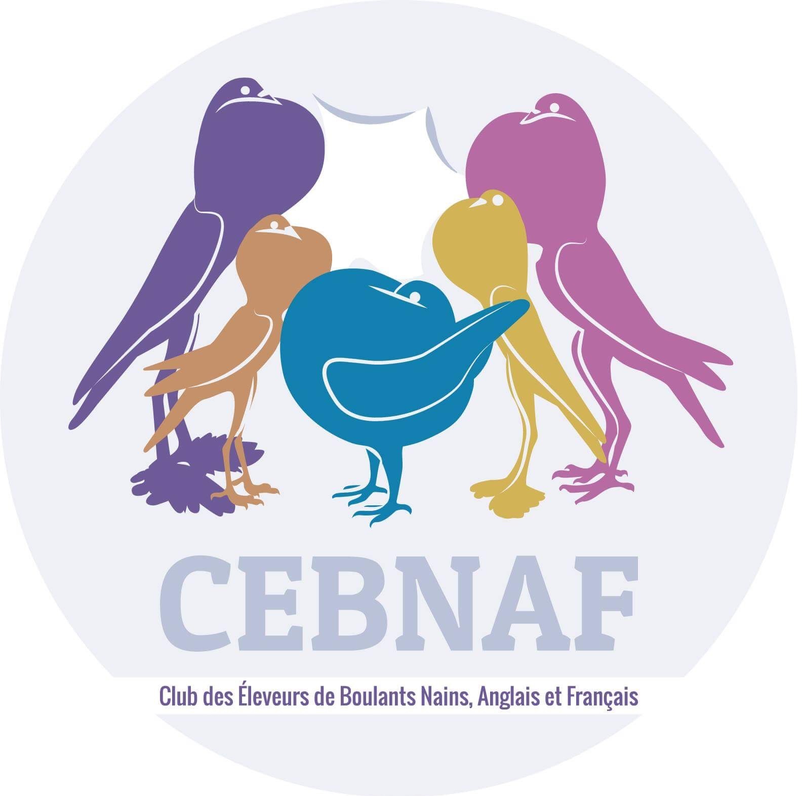 Journée technique du C.E.B.N.A.F