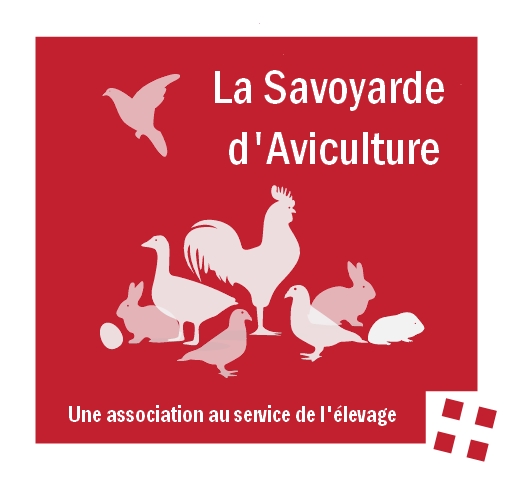 4 championnats de France à Chambéry