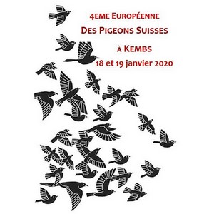 Championnat d’Europe des pigeons suisses