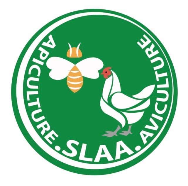 Rendez-vous à LIMOGES du 22 au 25 octobre 2020