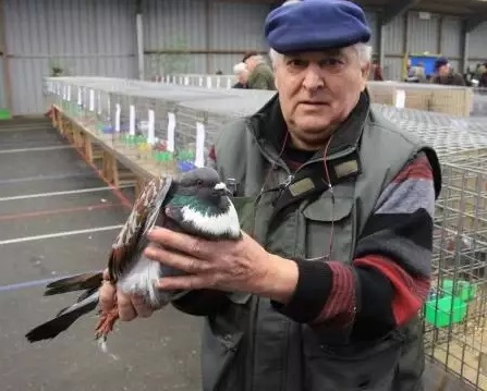 Hommage à André Le Guern