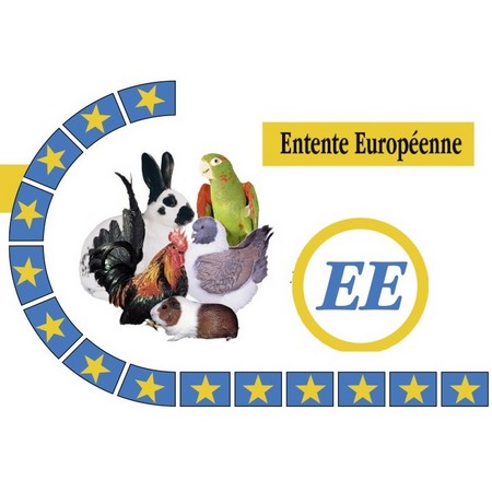 L&rsquo;Exposition européenne 2022 n&rsquo;aura pas lieu