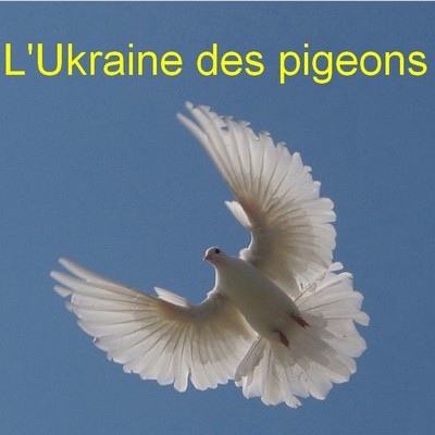 L&rsquo;Ukraine des pigeons