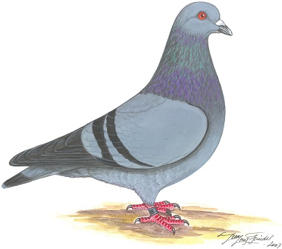 Le Mulhousien à Woincourt