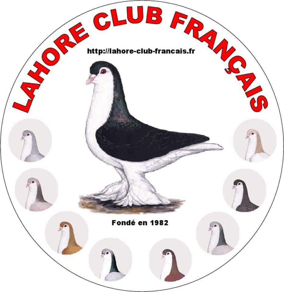 1er Championnat d&rsquo;Europe du Lahore