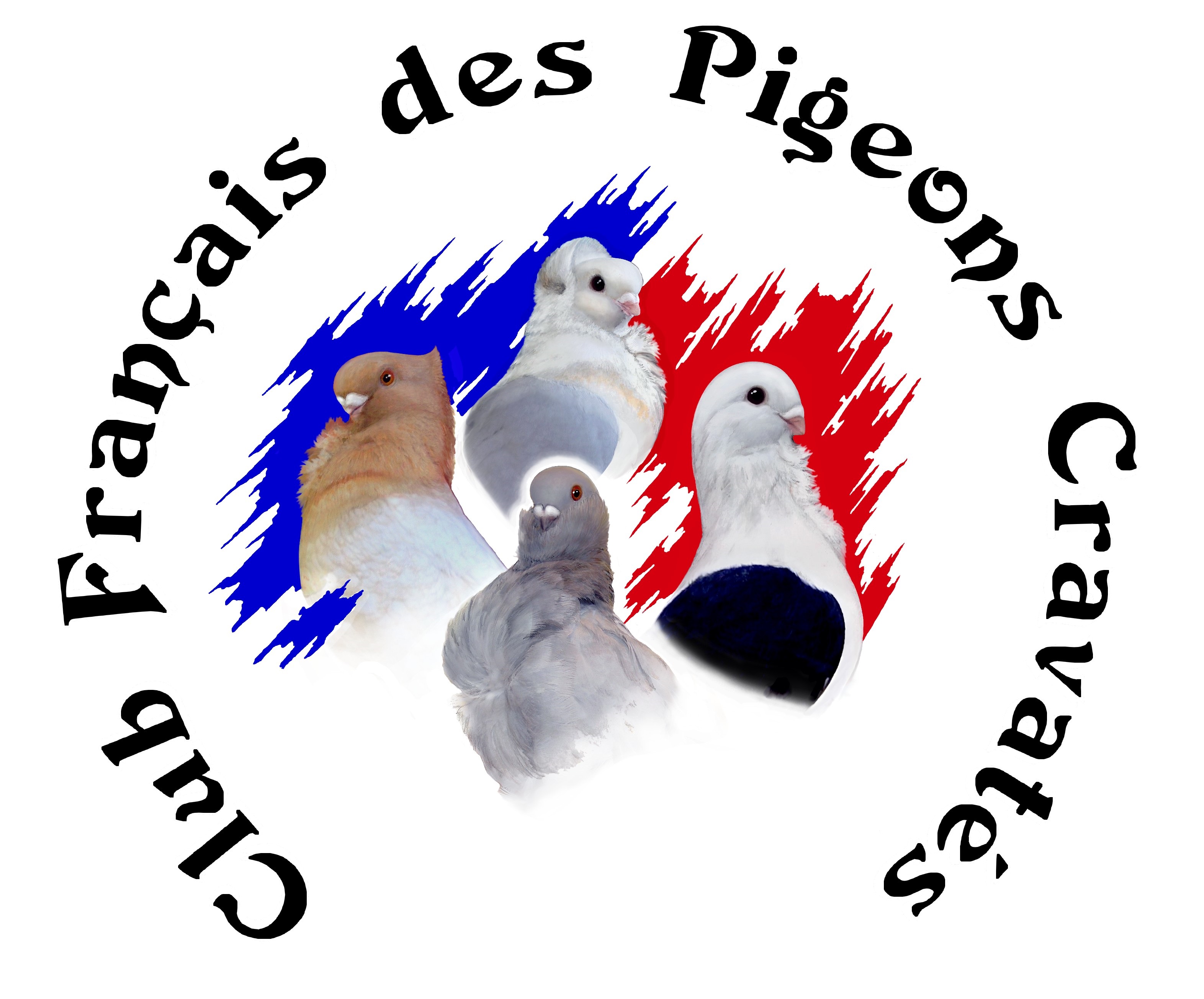 Les Cravatés déménagent